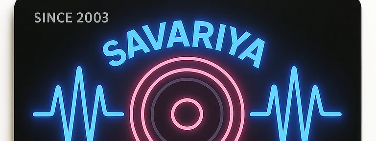 Savariya sound and lights in Ahmedabad
