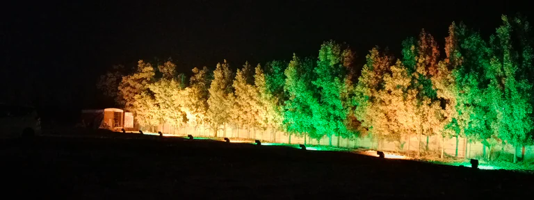 Chitrakoot light decoration in Ahmedabad