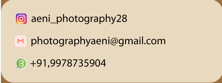 Aeni Photography in Ahmedabad