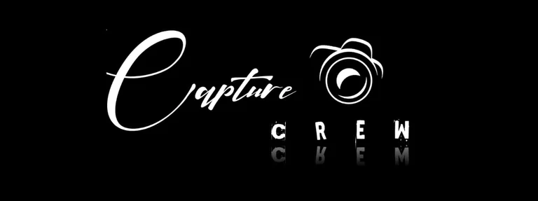 Capture Crew