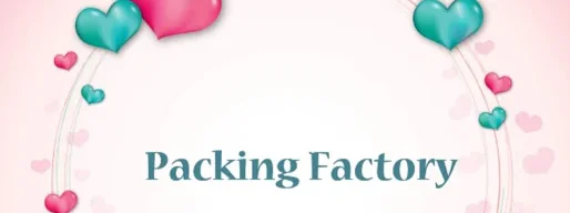 Packing factory in Surat