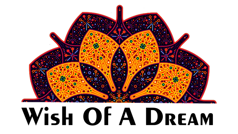 Wish Of A Dream in Surat