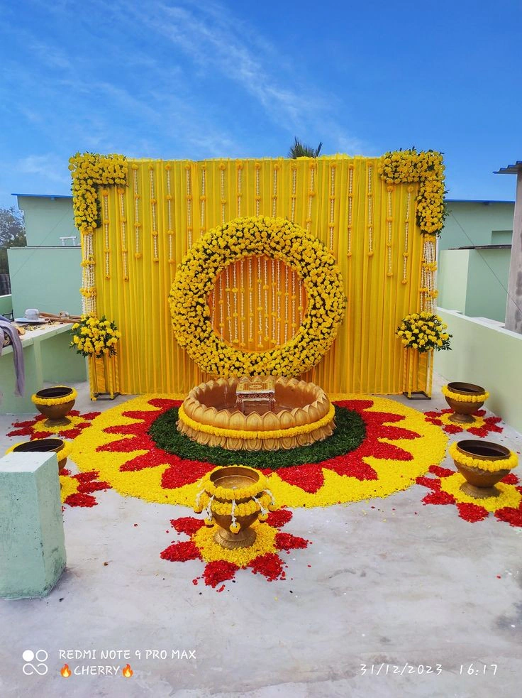 HALDI SETUP