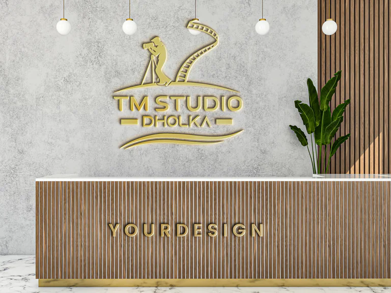 Tm studio dholka