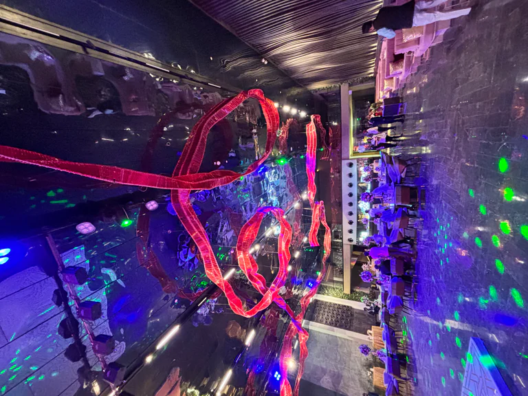 When dj vestro meets his desi audience 