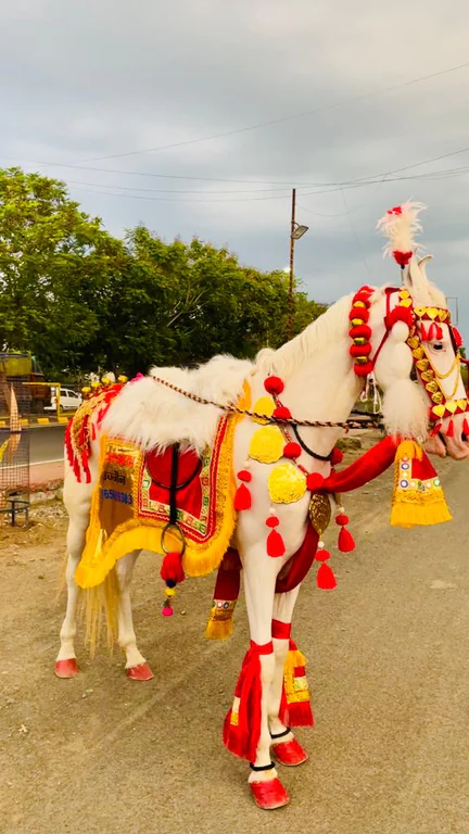 Baraat Service 