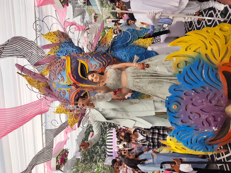 Carnival Entry Concept 