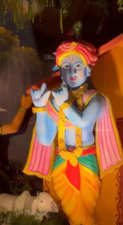 celebrating  krishna's bday
