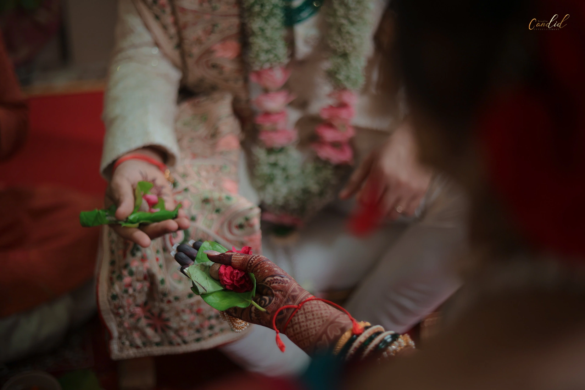 CHAITALI & VEDANT  photo 15