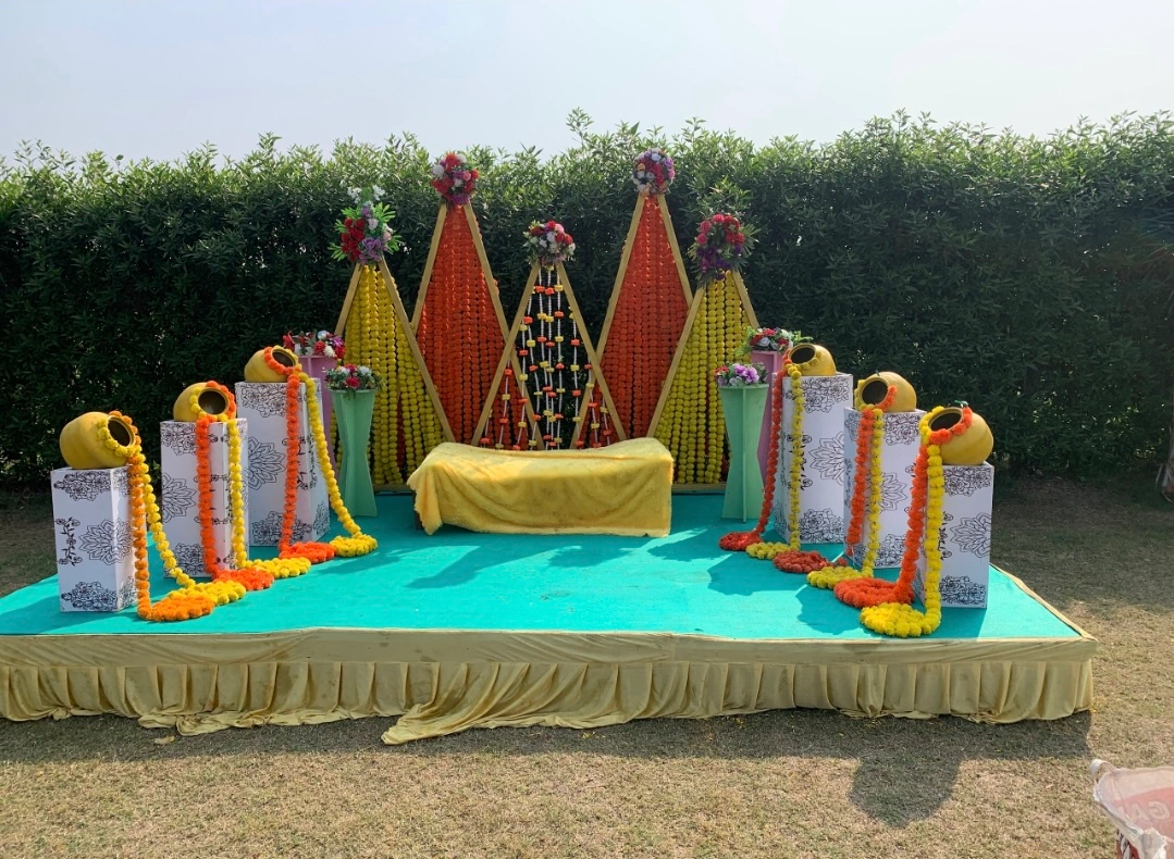 HALDI photo 6