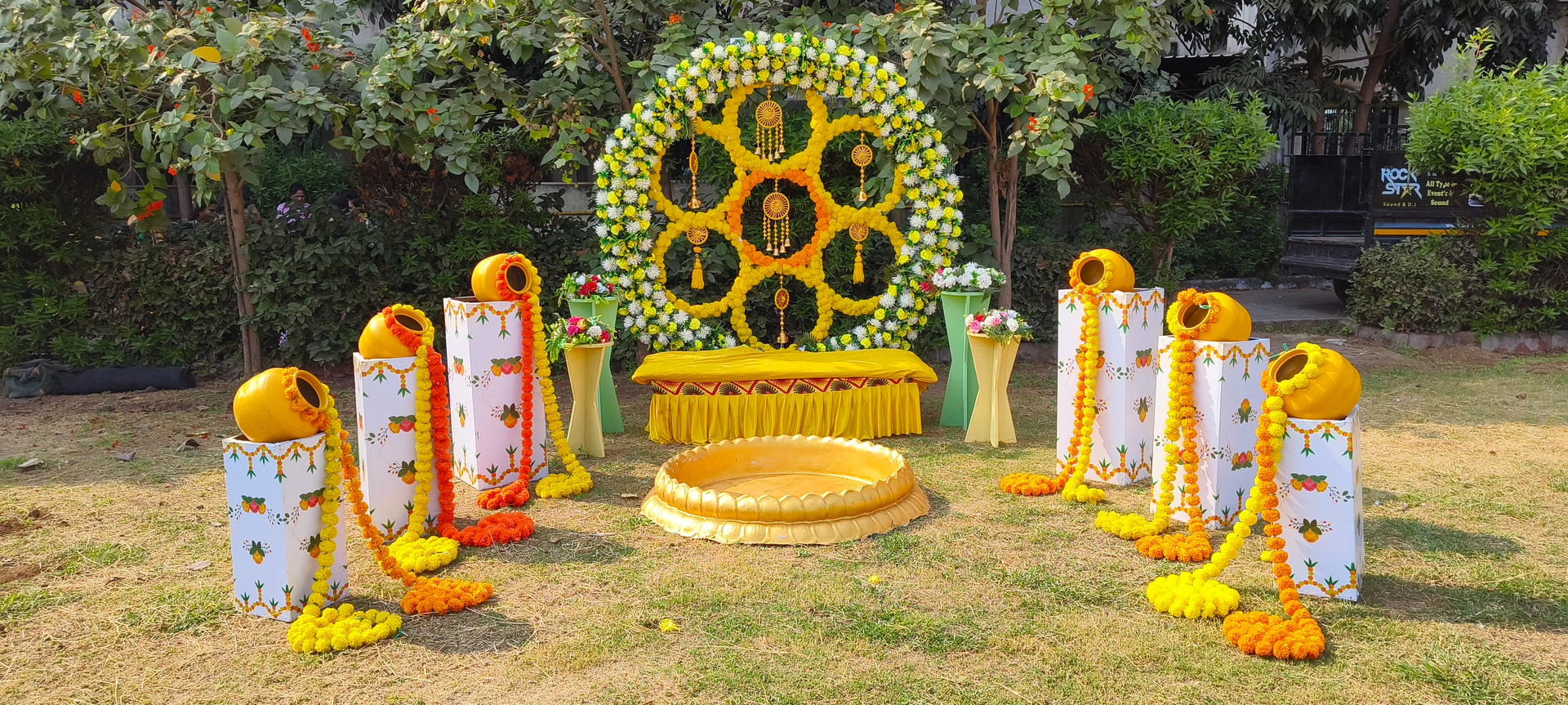 HALDI photo 10