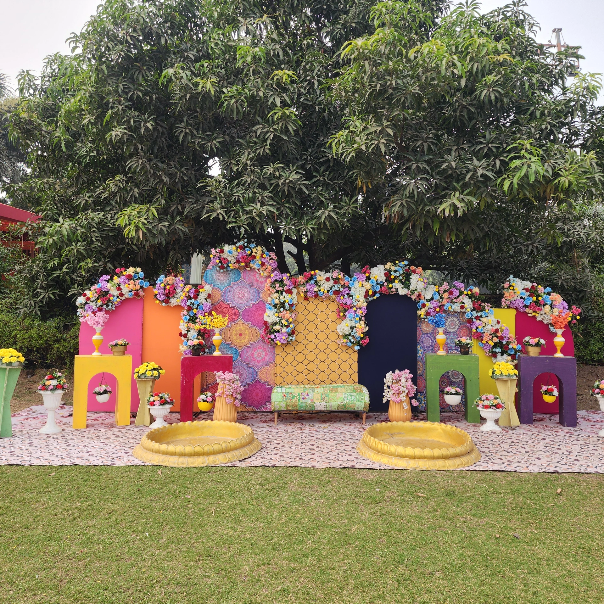 HALDI photo 2