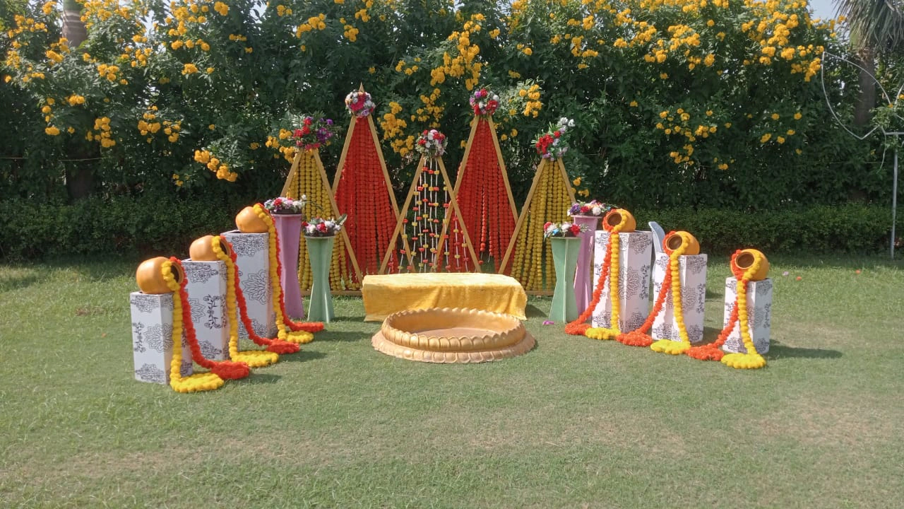 HALDI photo 8