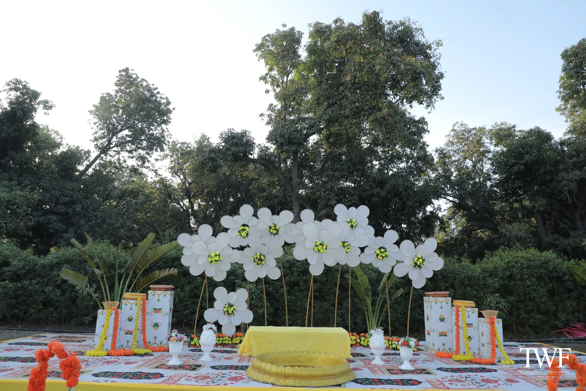HALDI photo 9