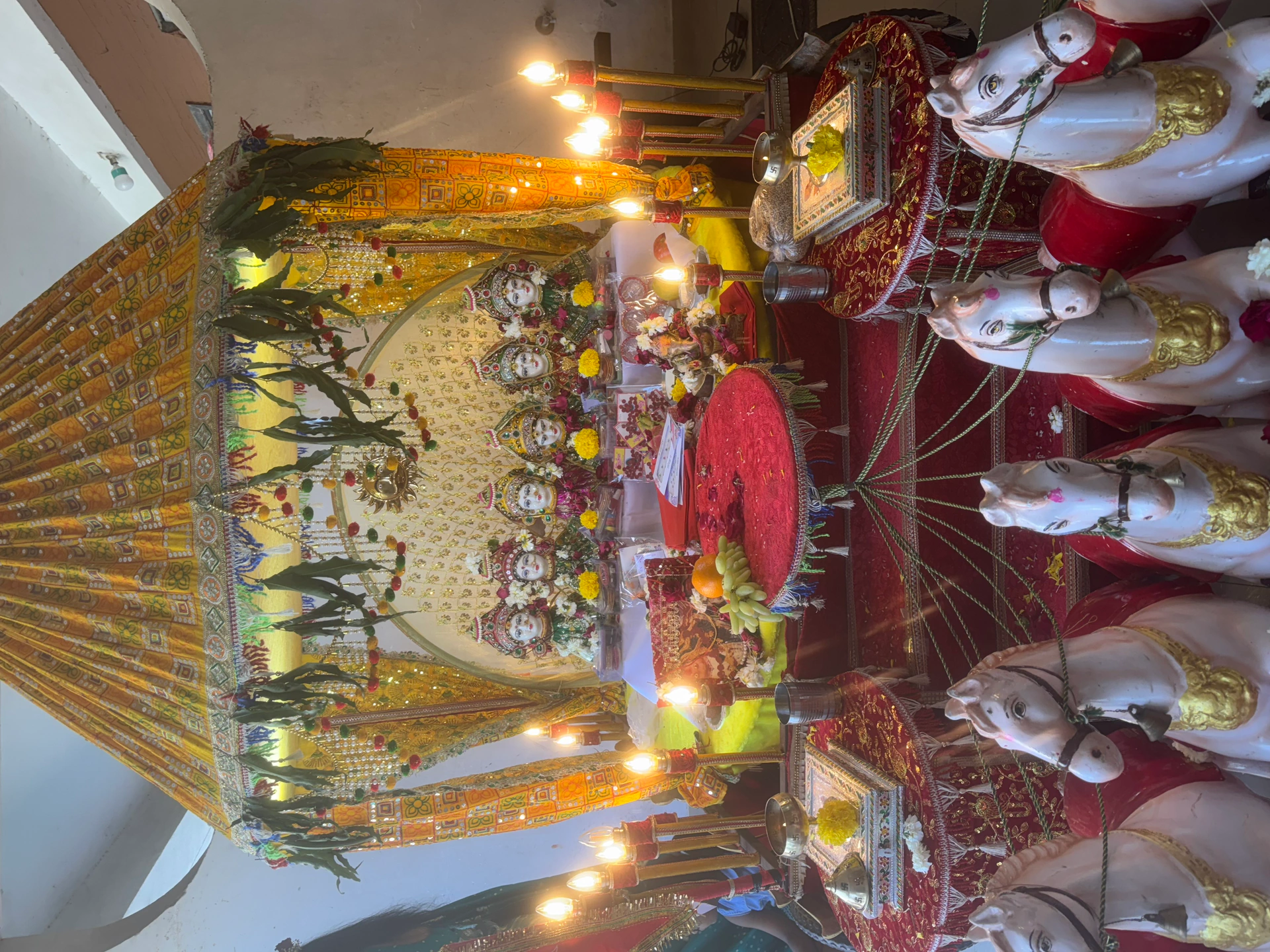 Randal maa  photo 10