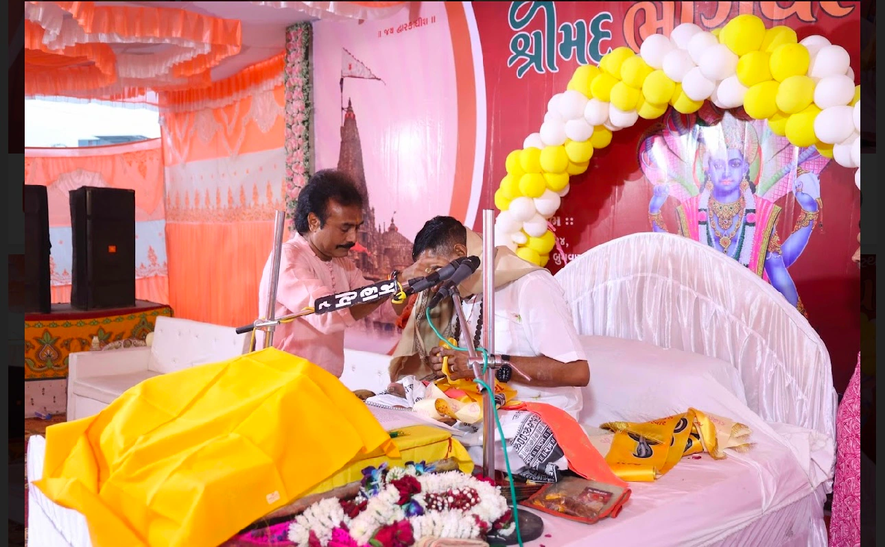 Randal maa  photo 7
