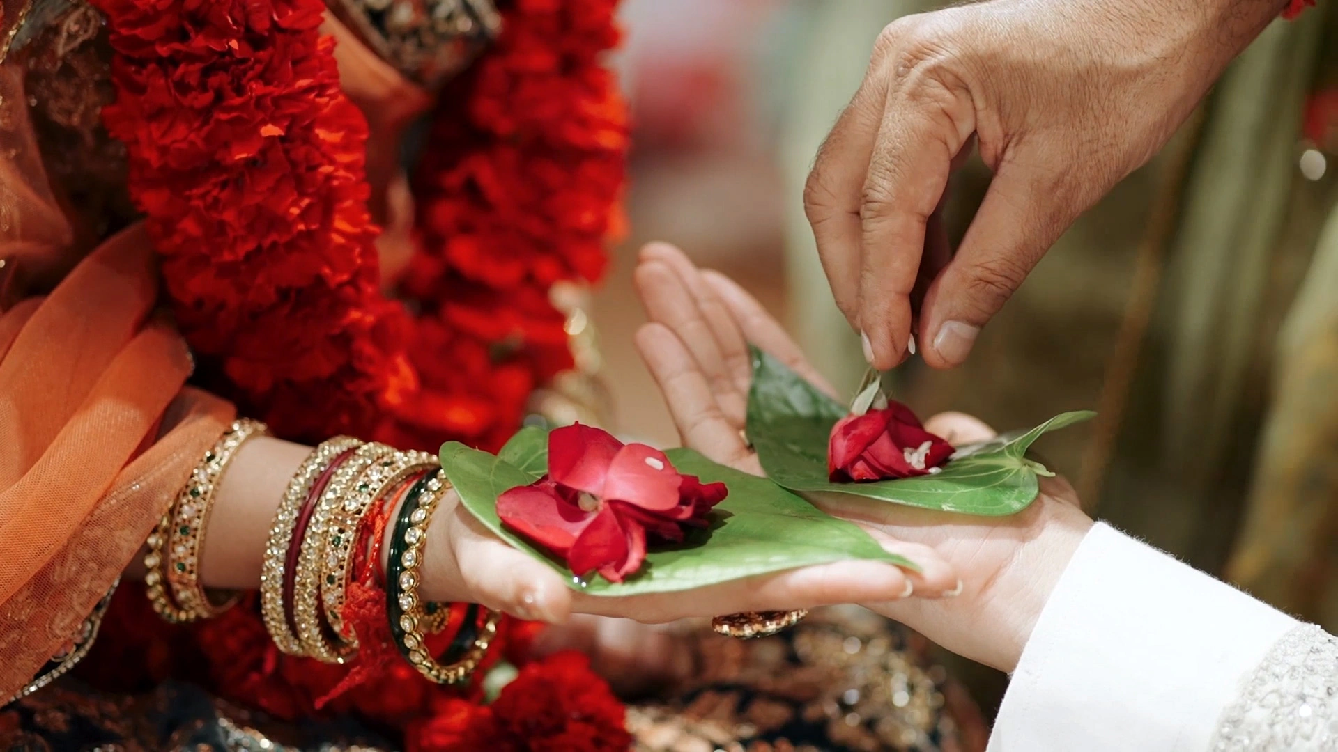 SWARA & KUSHAL WEDDING photo 13
