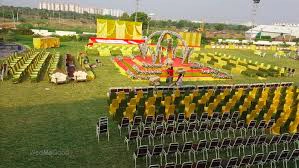 Party plot photo 2