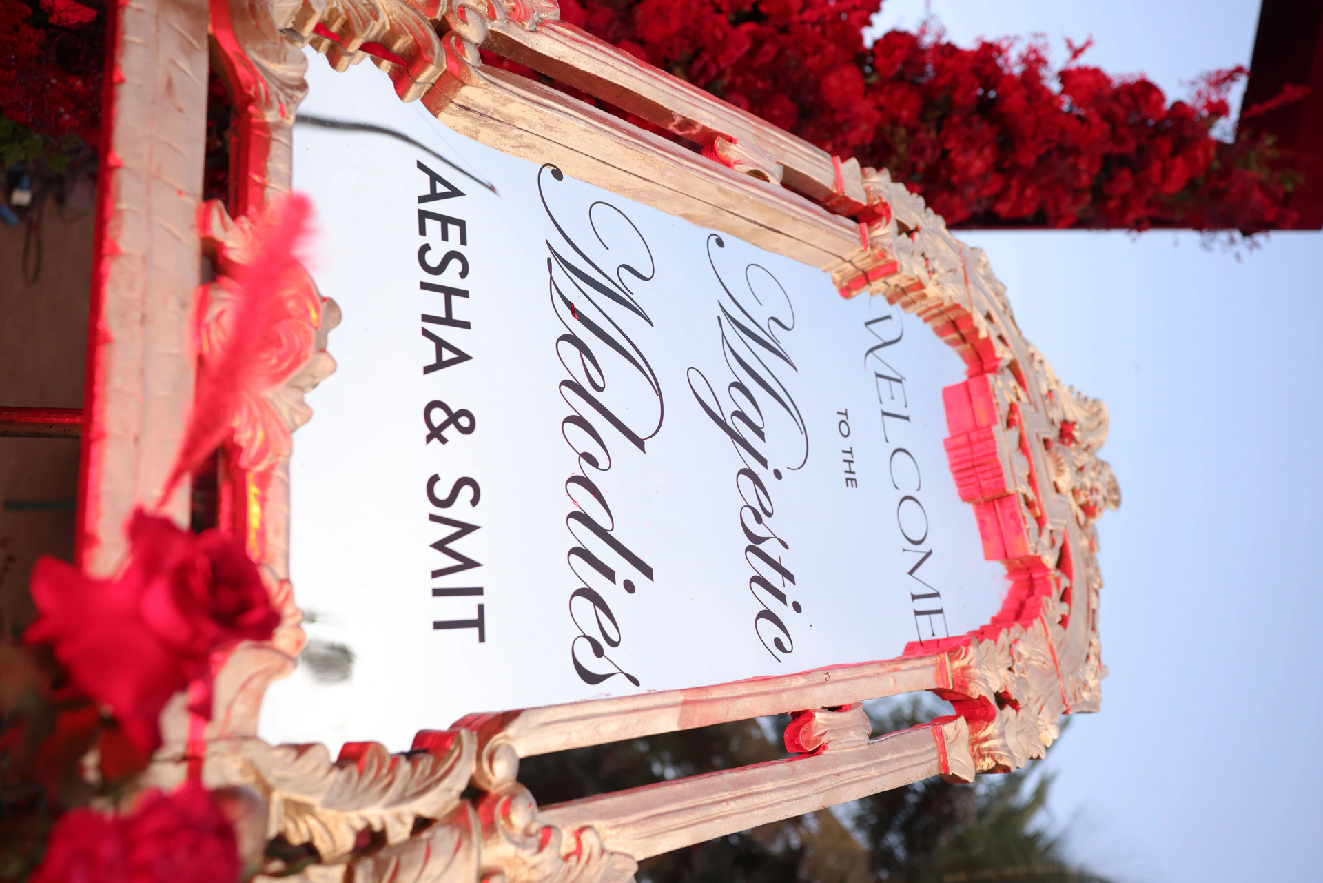 Aesha & Smit's Sangeet Night photo 1