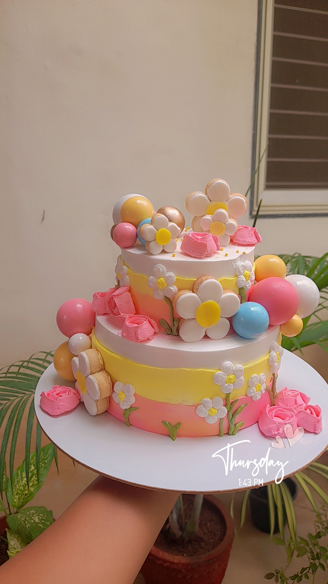 Celebration Cakes