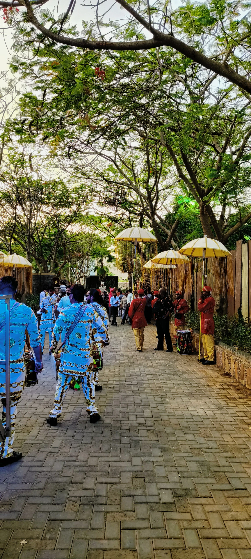 Brass band udaipur  photo 19