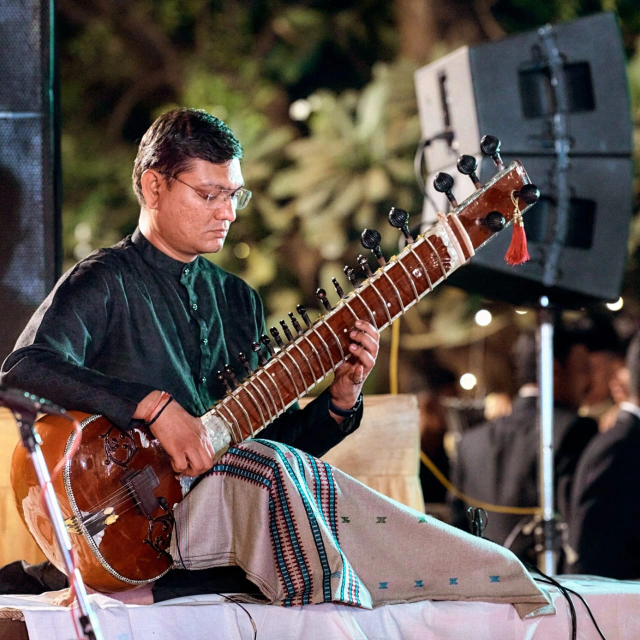 Nishad Sitar photo 2