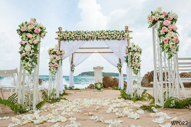 Wedding photo 2