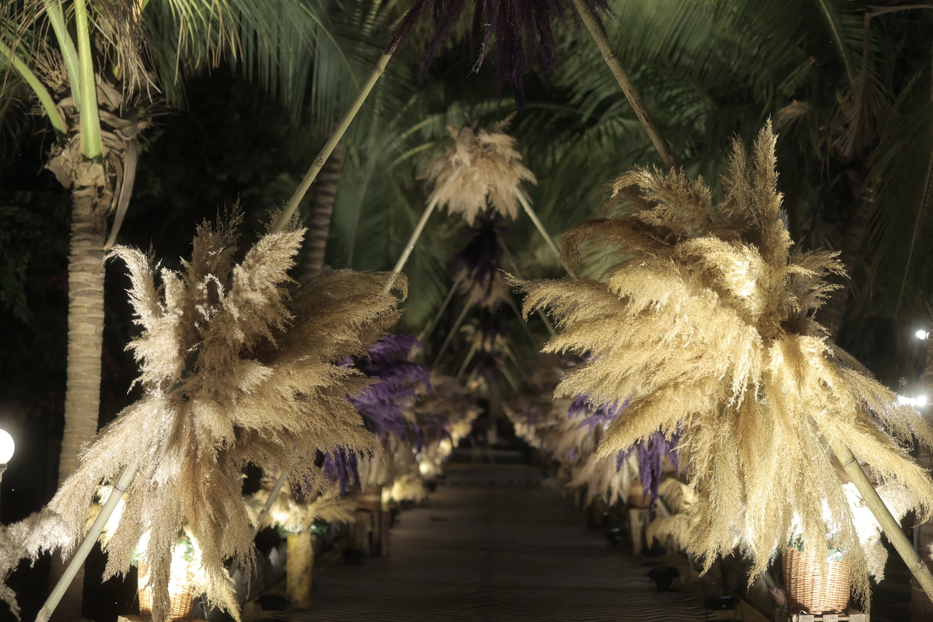 Weddings photo 2