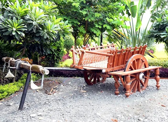 photography photo 2