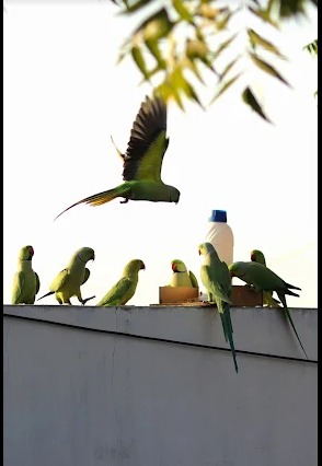 Photographer  photo 2