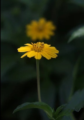 Photographer  photo 1
