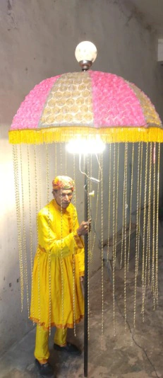 Dholi photo 1