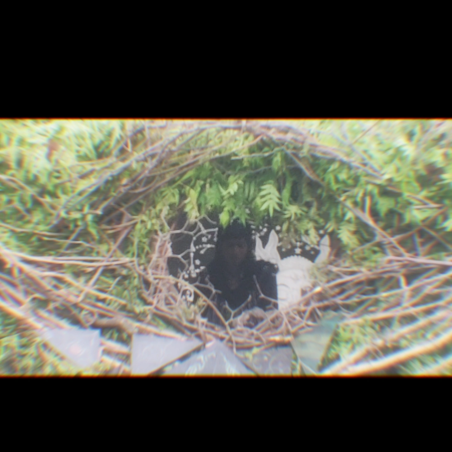 snippets  photo 1