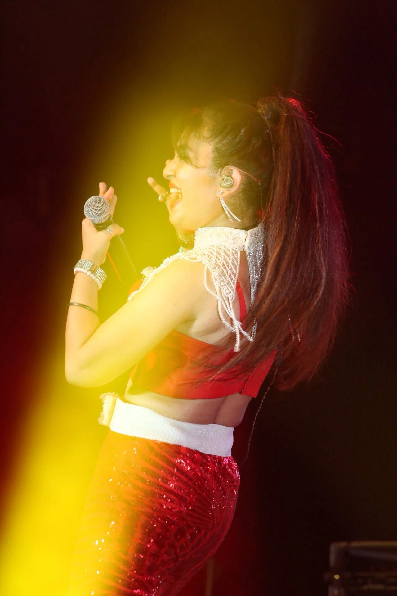 Abhinanda Sarkaar Live performance  photo 4