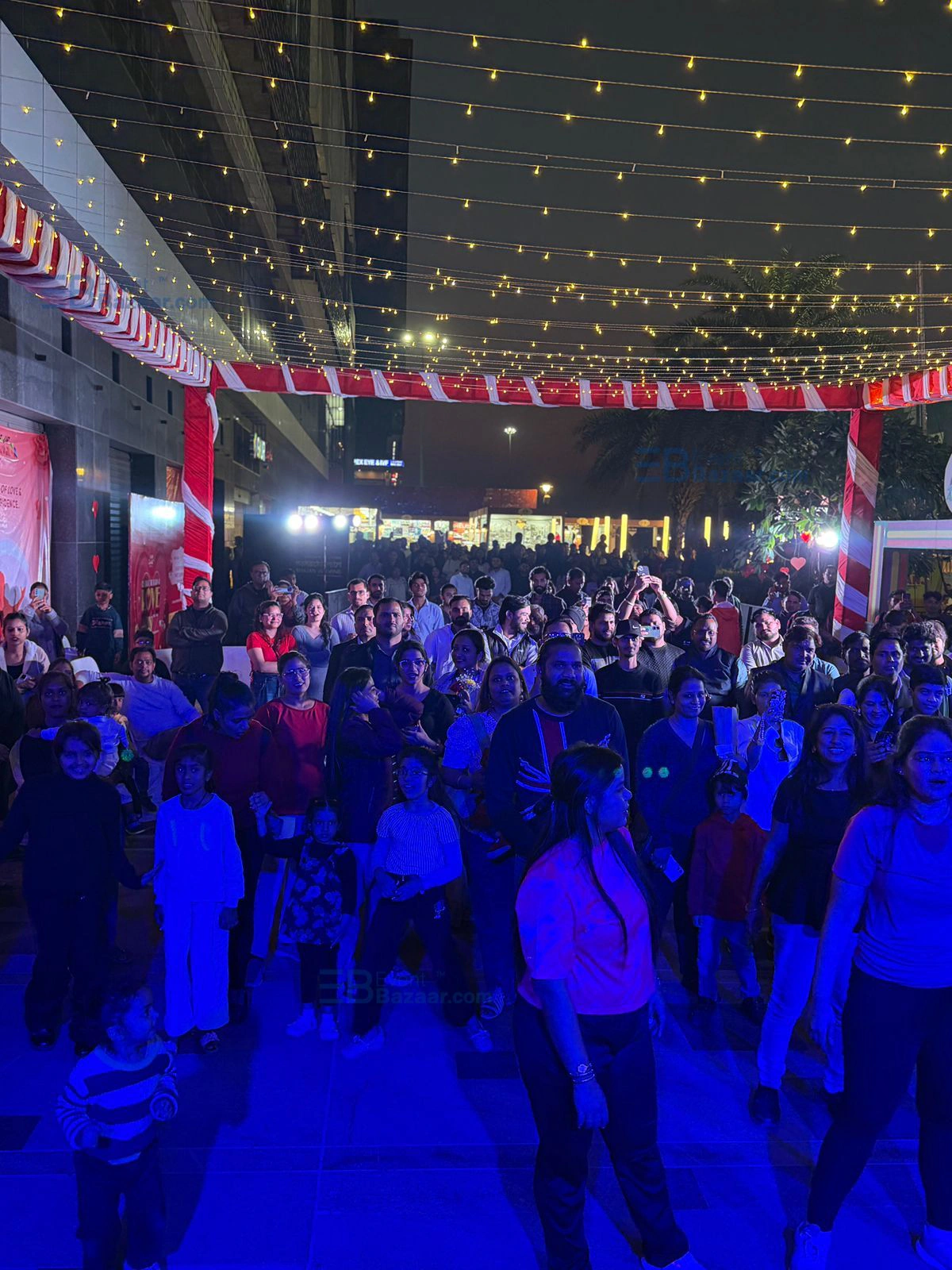 Mahashivraatri concert photo 3