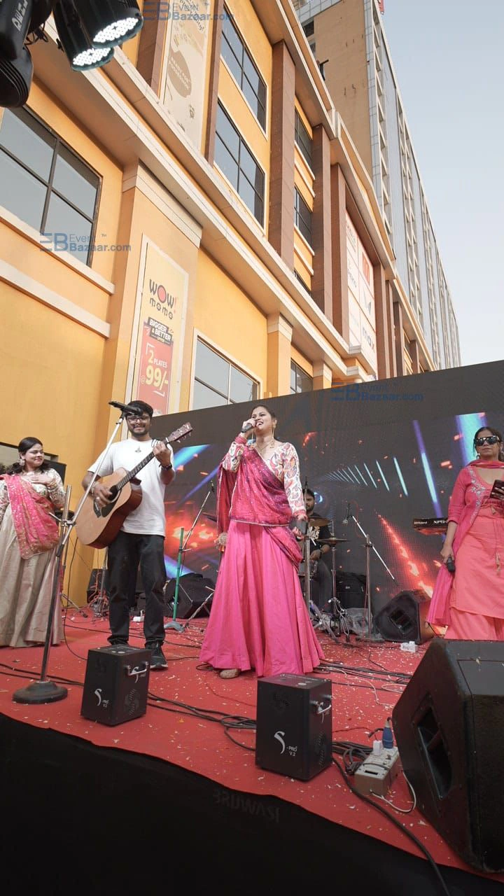 Holi concert photo 12