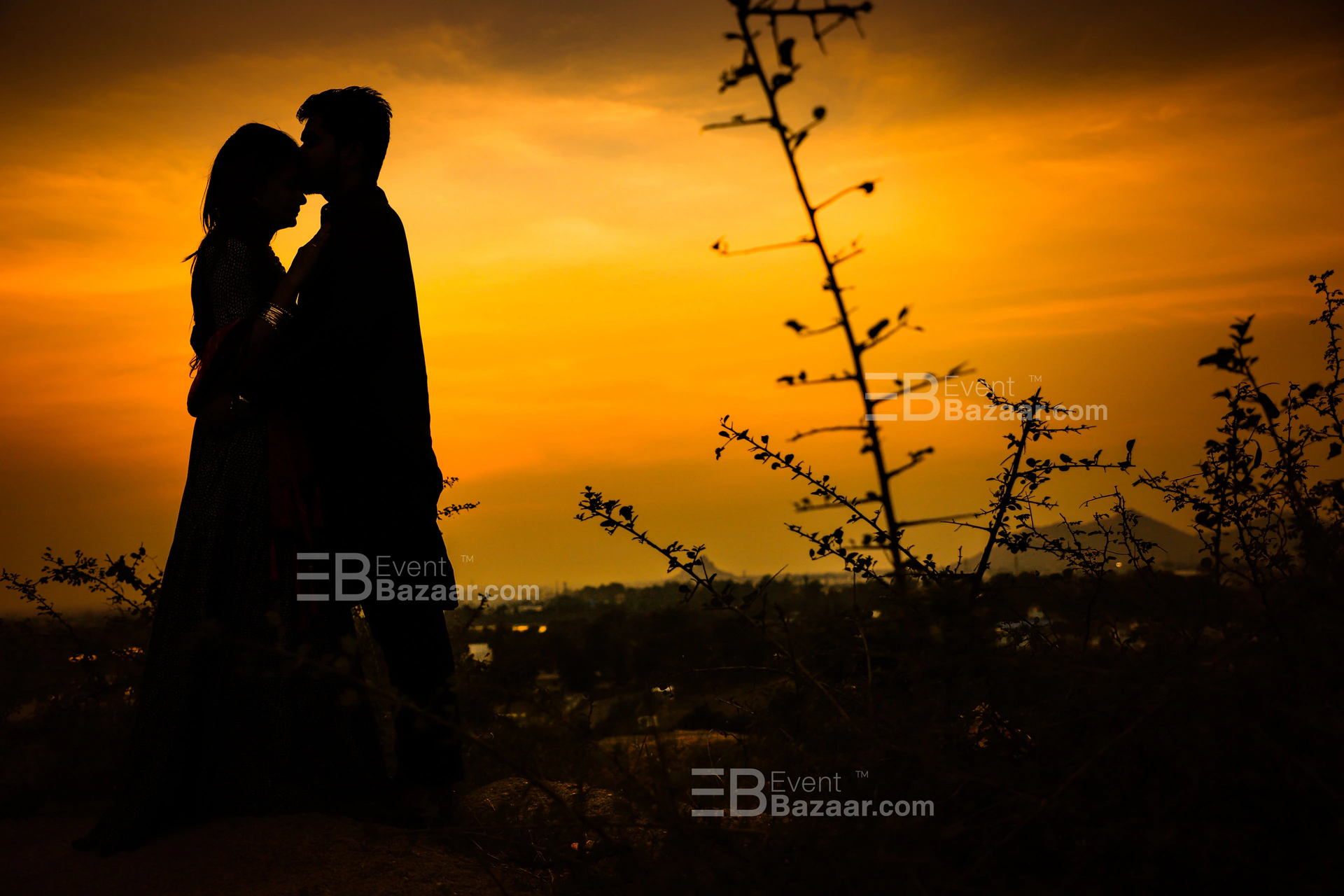 Portfolio photo 12