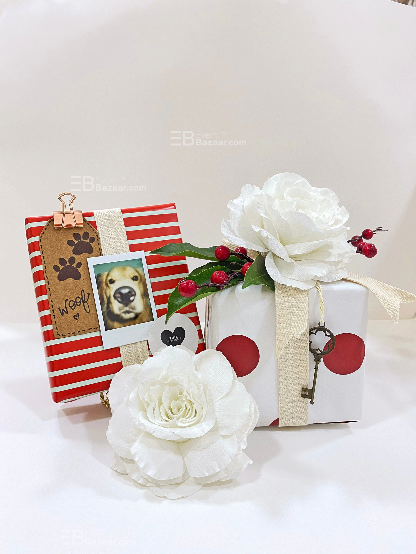 Our Events photo 5