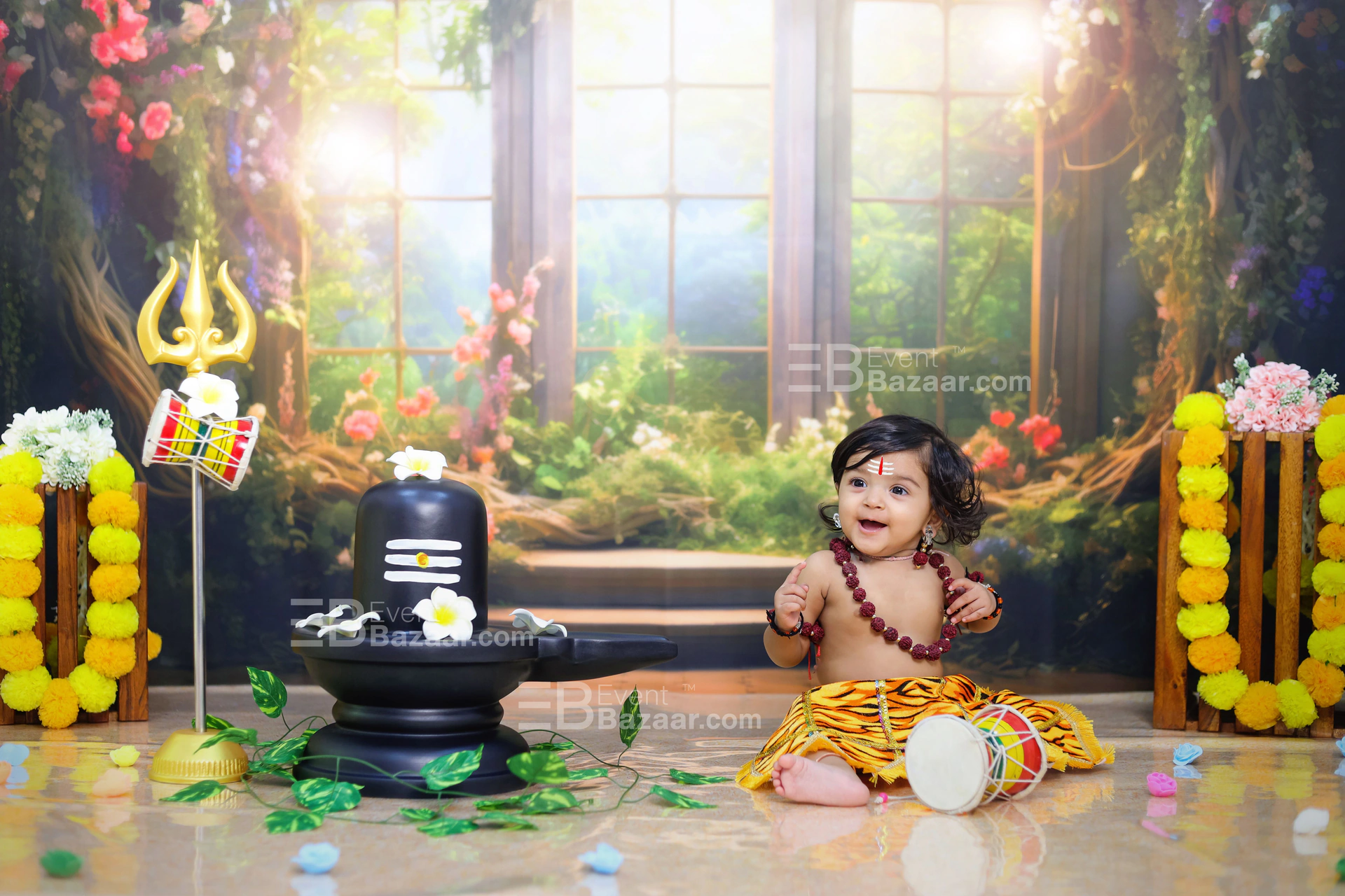 Our Portfolio photo 3
