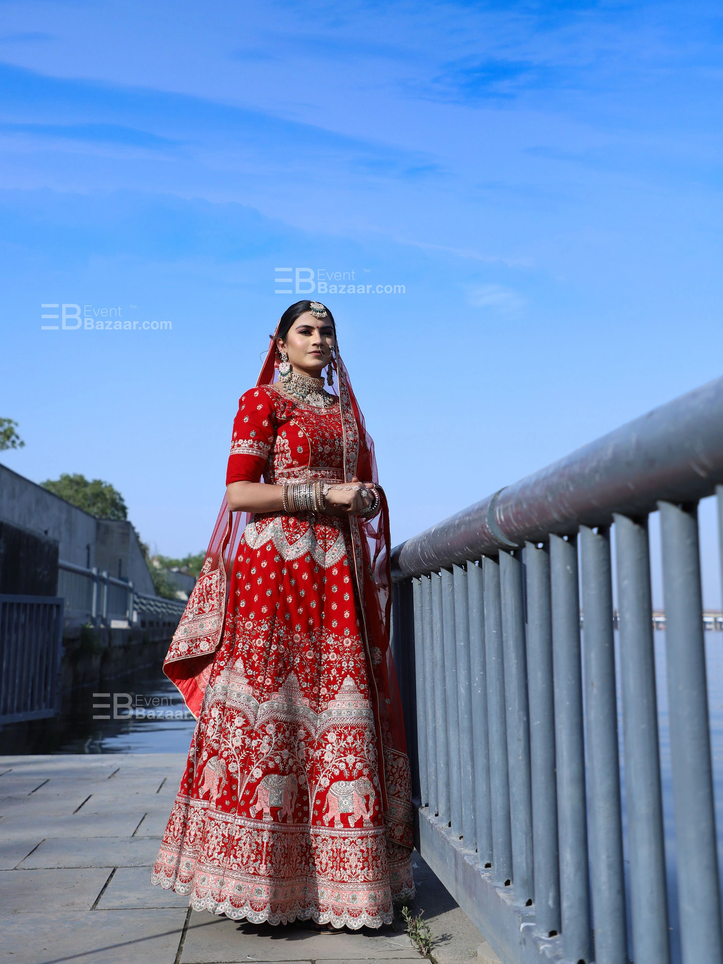 The Album photo 16