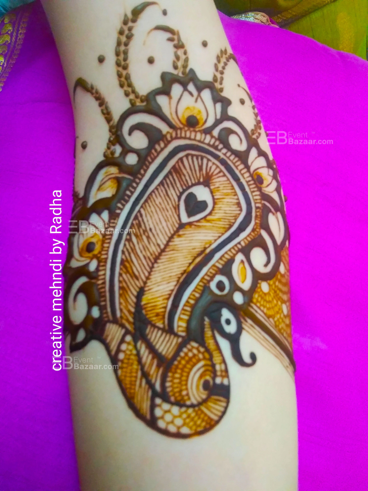 Photo Gallery photo 12