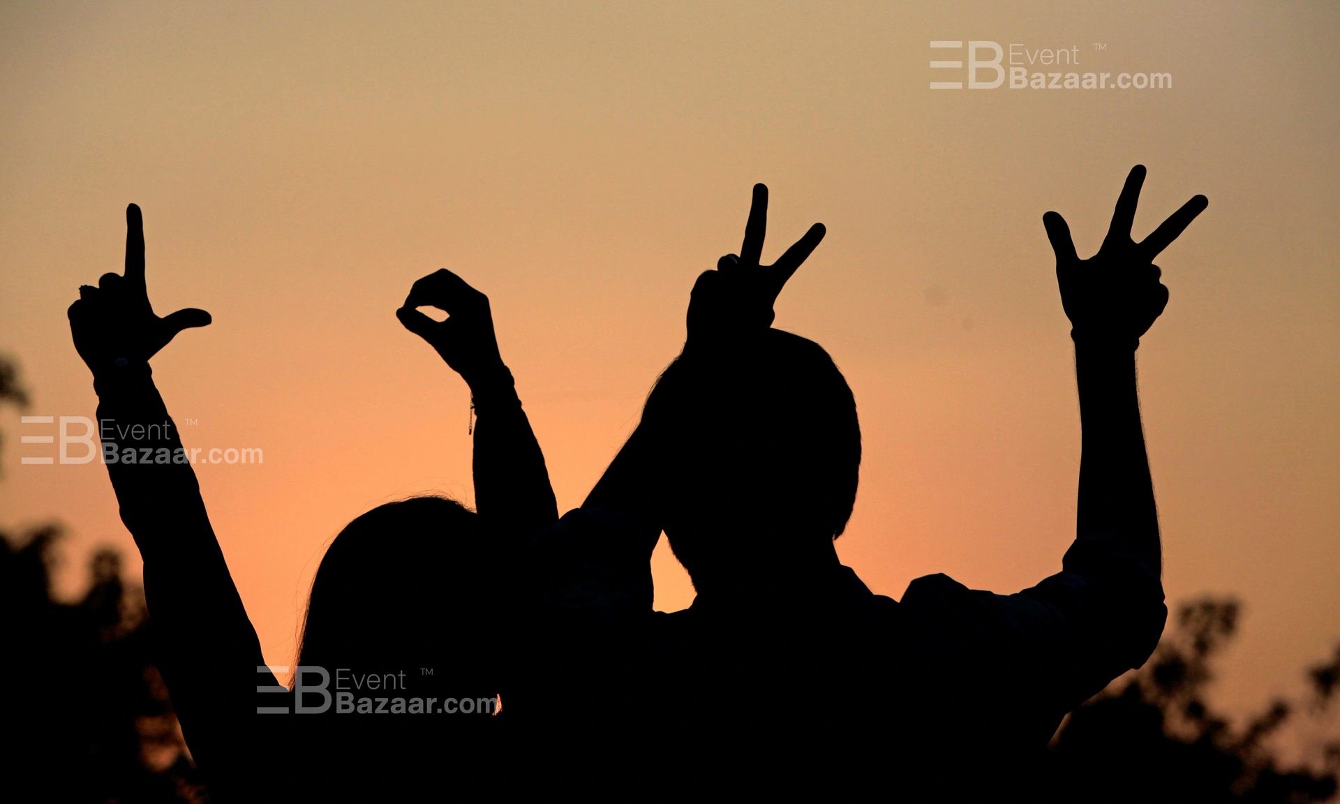 Photo Gallery photo 7
