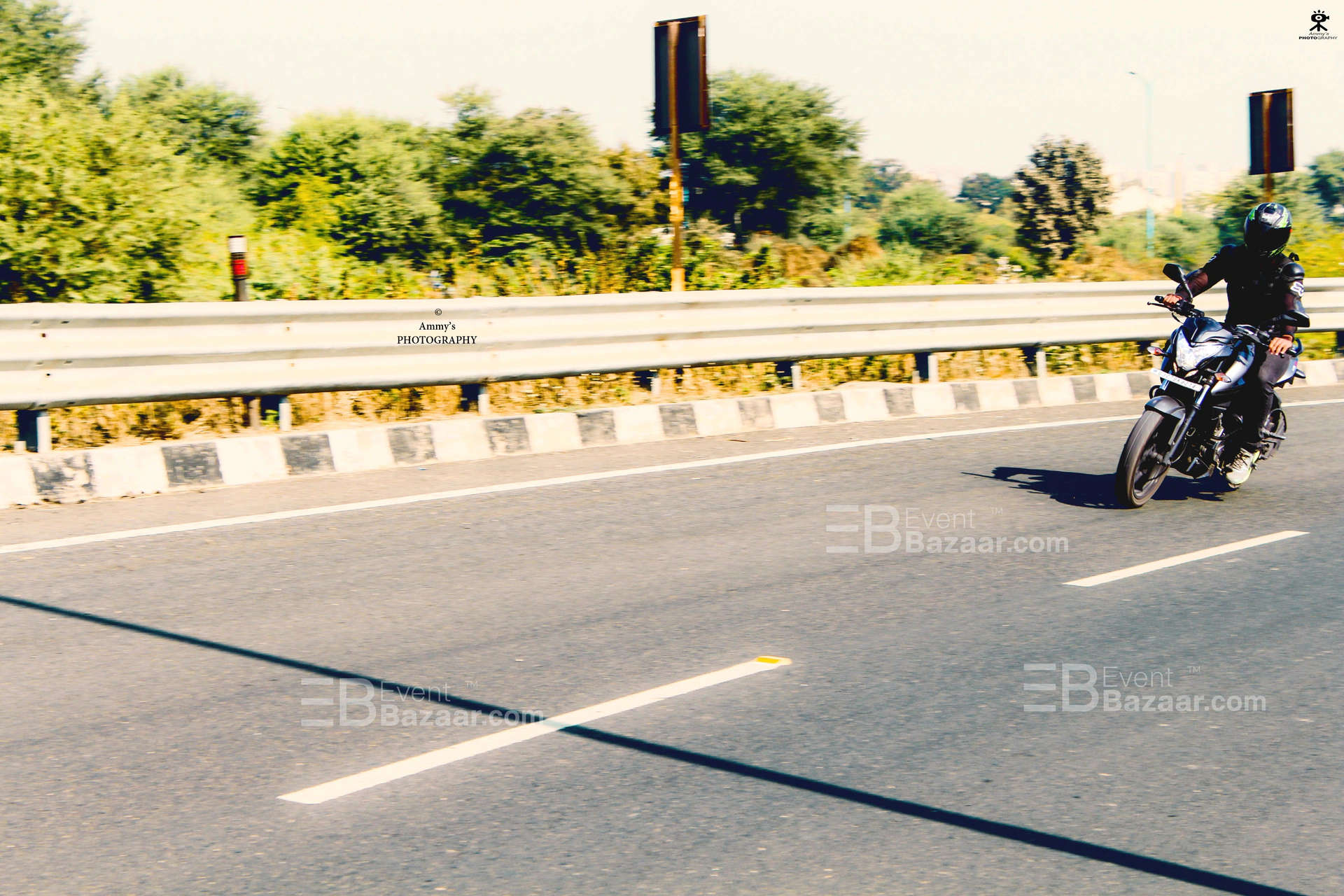 Best Shots photo 5