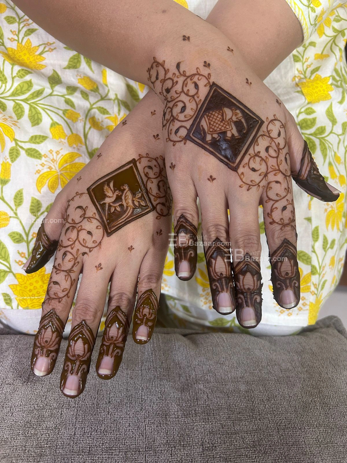 Highlights photo 2