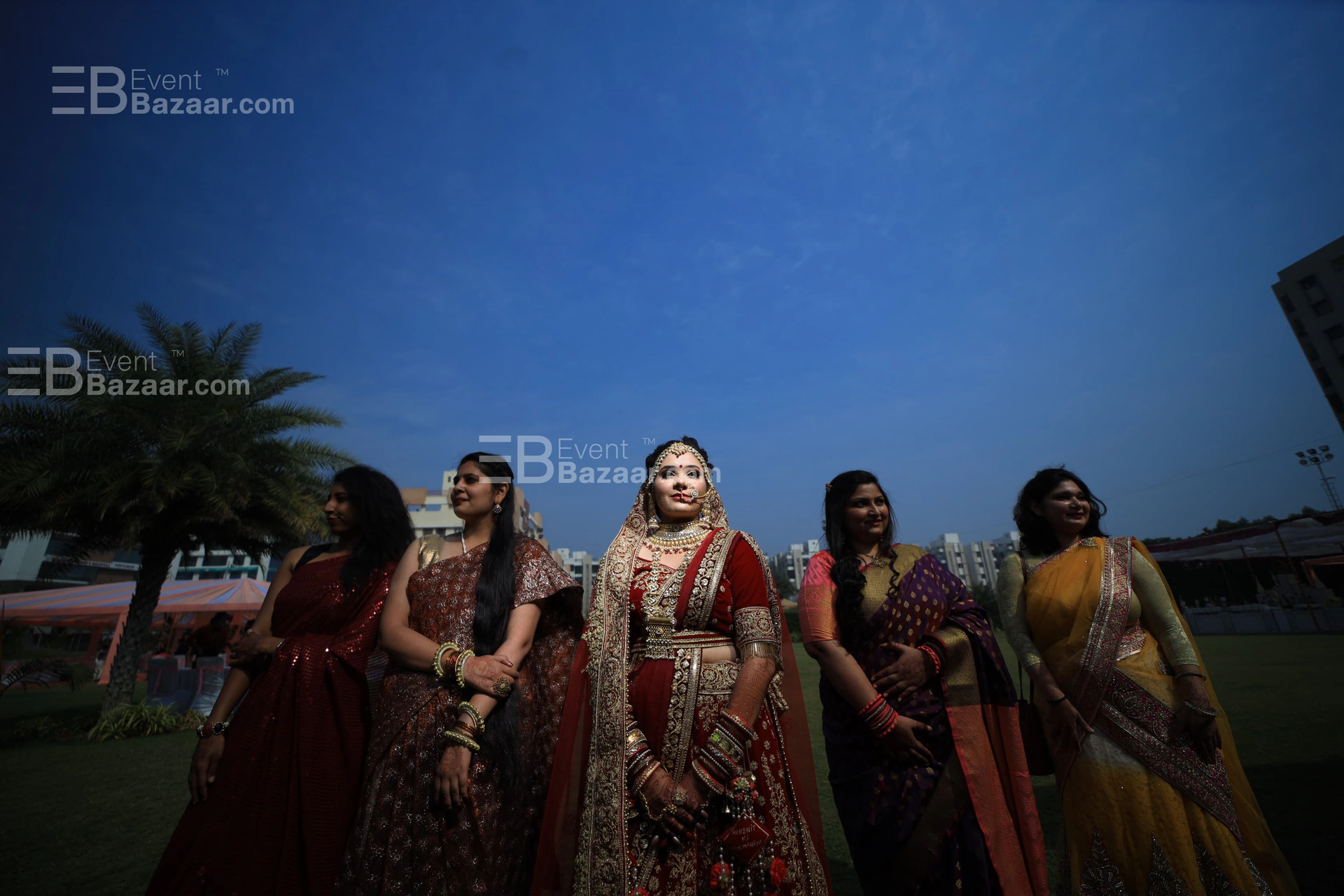 Our Portfolio photo 7
