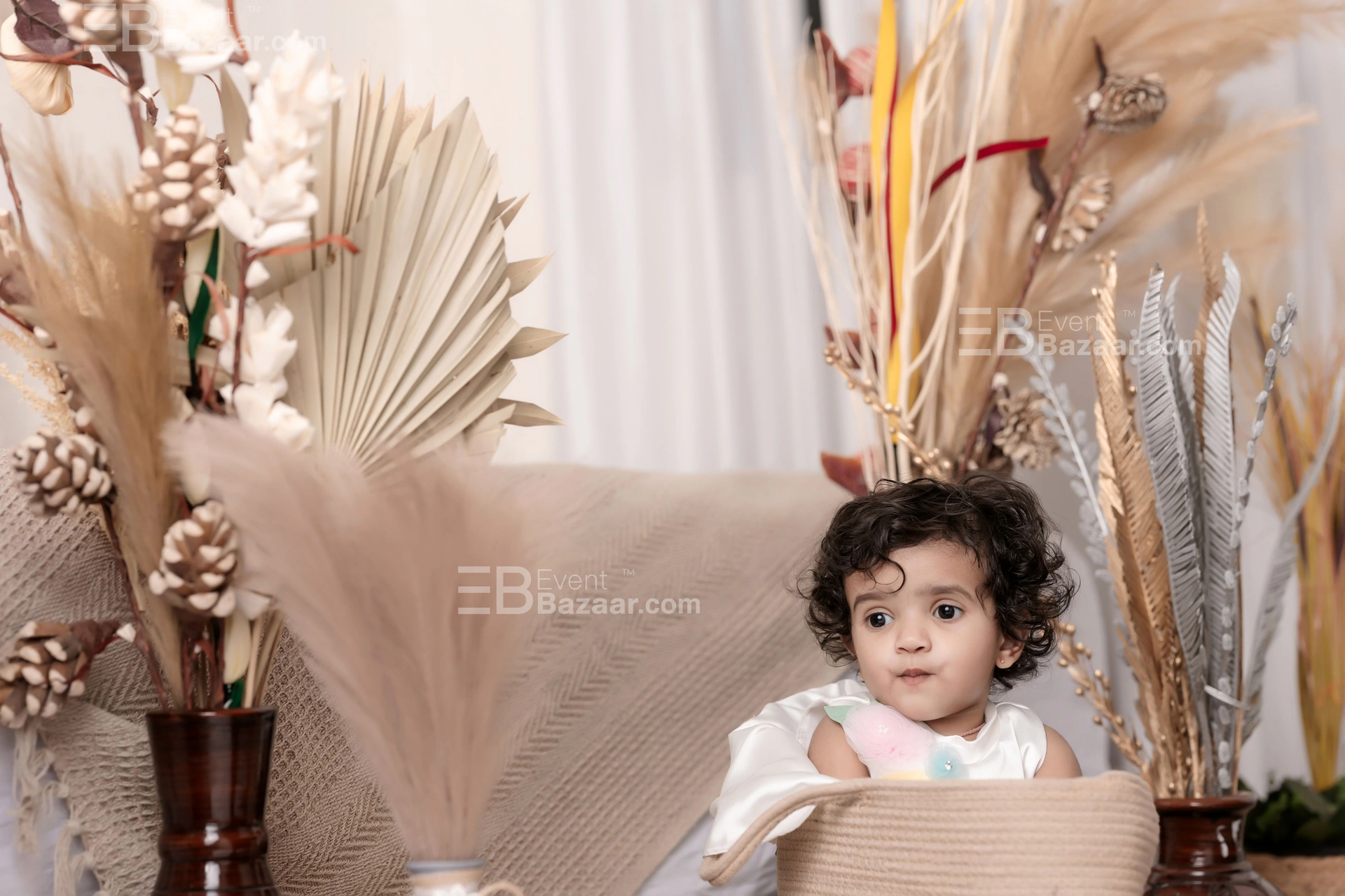Our Portfolio photo 5