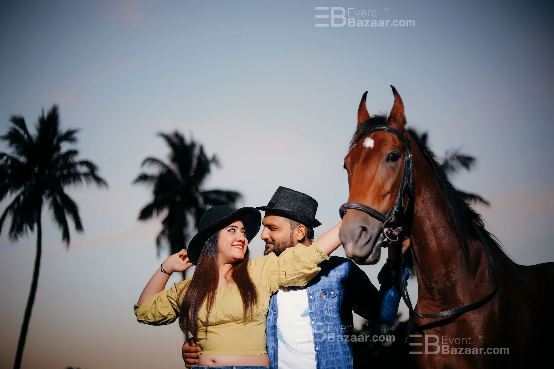 Our Portfolio photo 4