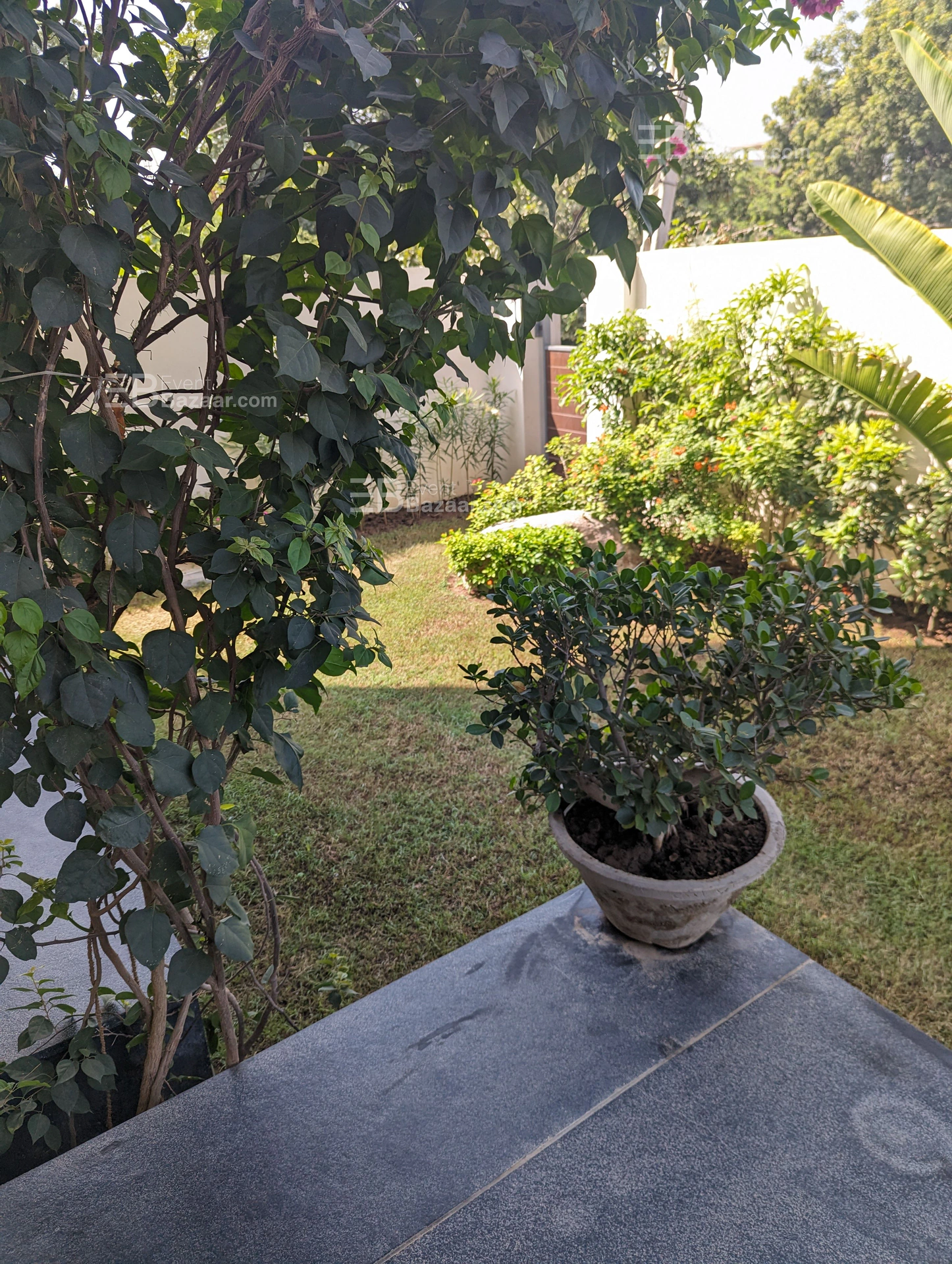 Gallery photo 6