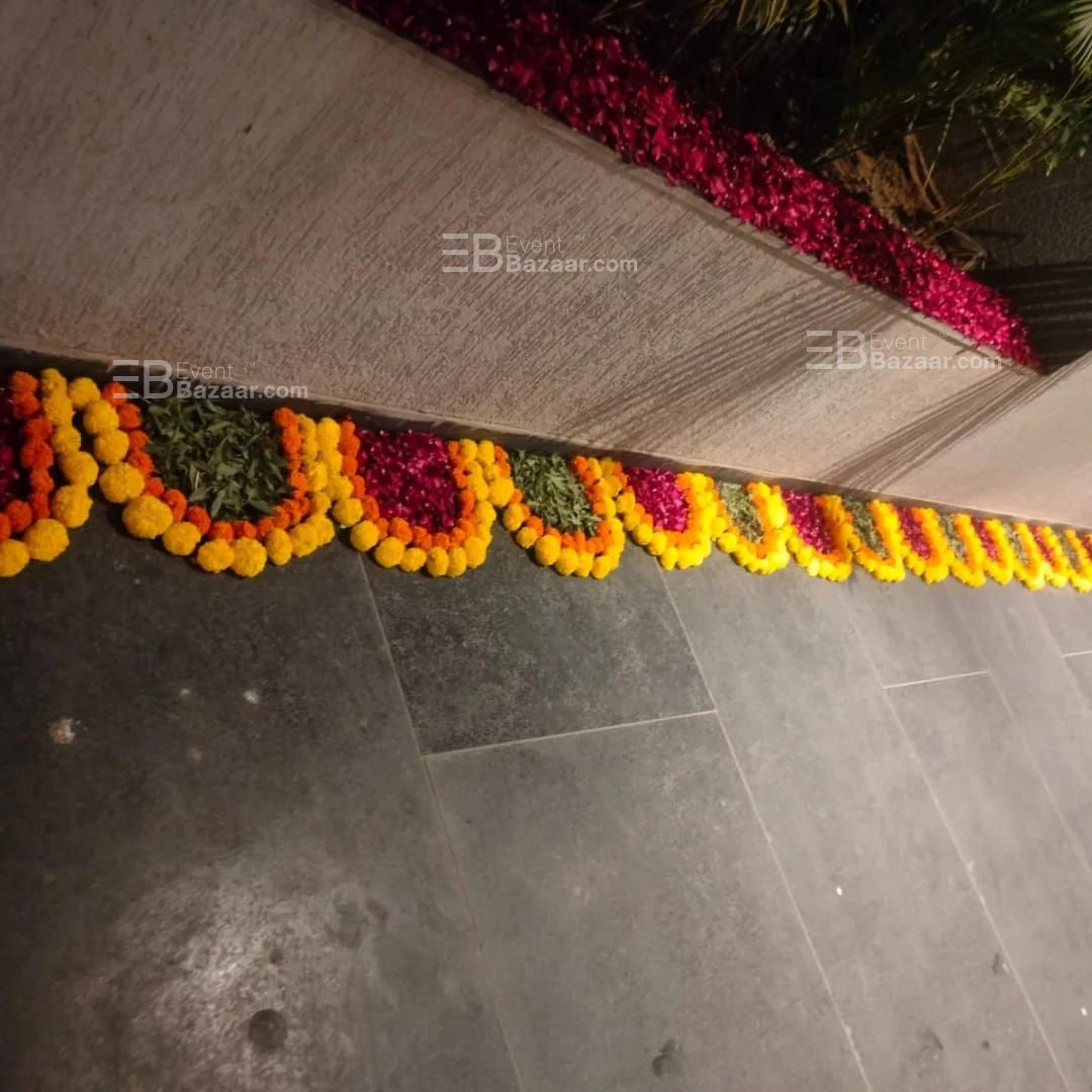 Highlights photo 6