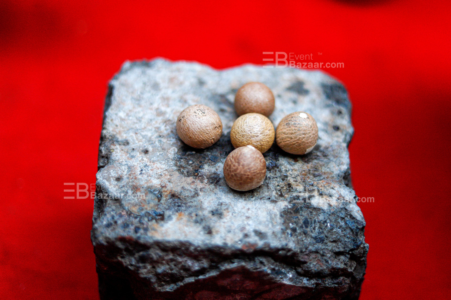 Portfolio photo 8